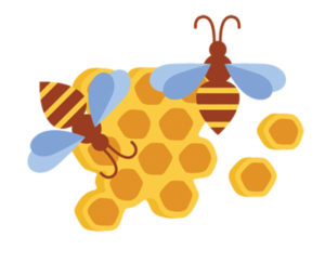Bees Honeycomb